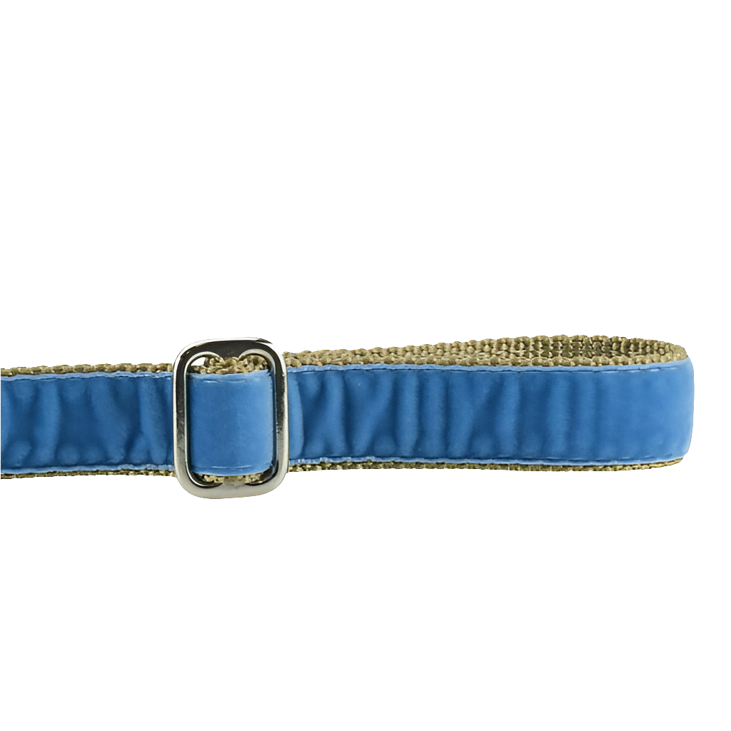 Swiss Velvet Dog Leash by 2 Hounds Design – Elegant, Durable & Made in the USA