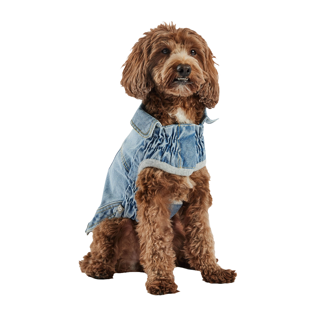 All-Season Light Wash Denim Dog Jacket – Adjustable Pet Coat with Elasto-Fit® for Perfect Comfort Fit