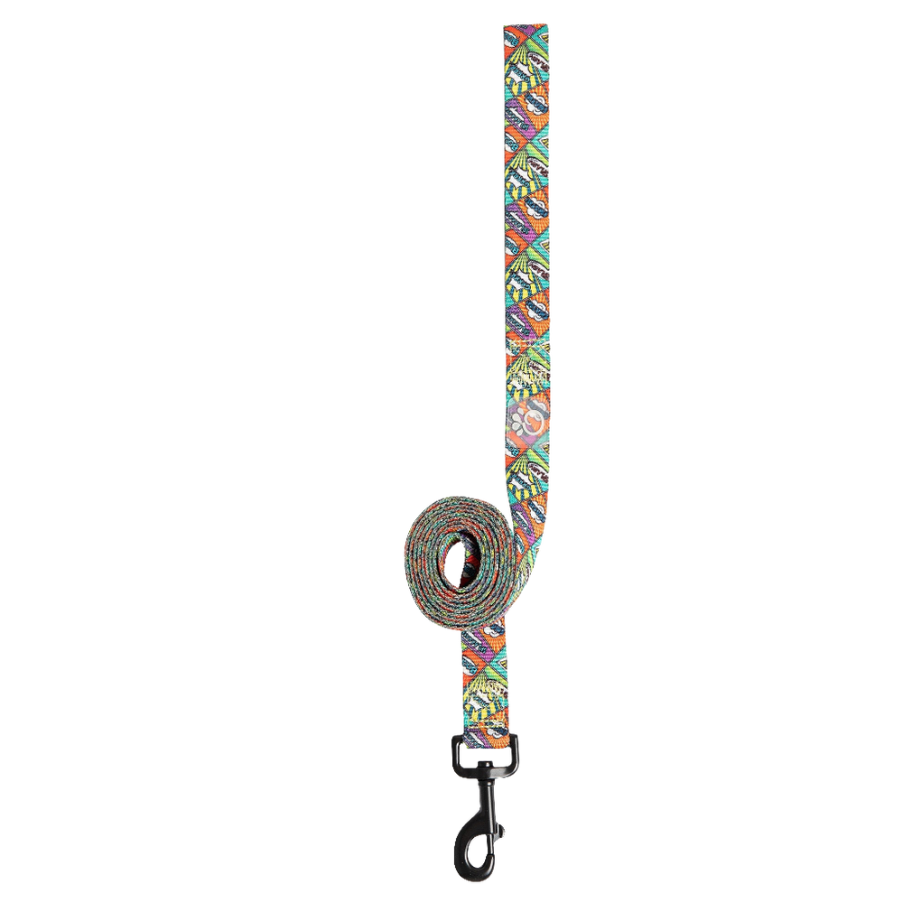 GF PET® Comic Book Dog Leash – Durable 6ft Nylon Leash with Fun Pop Art Design & Matching Collar Option