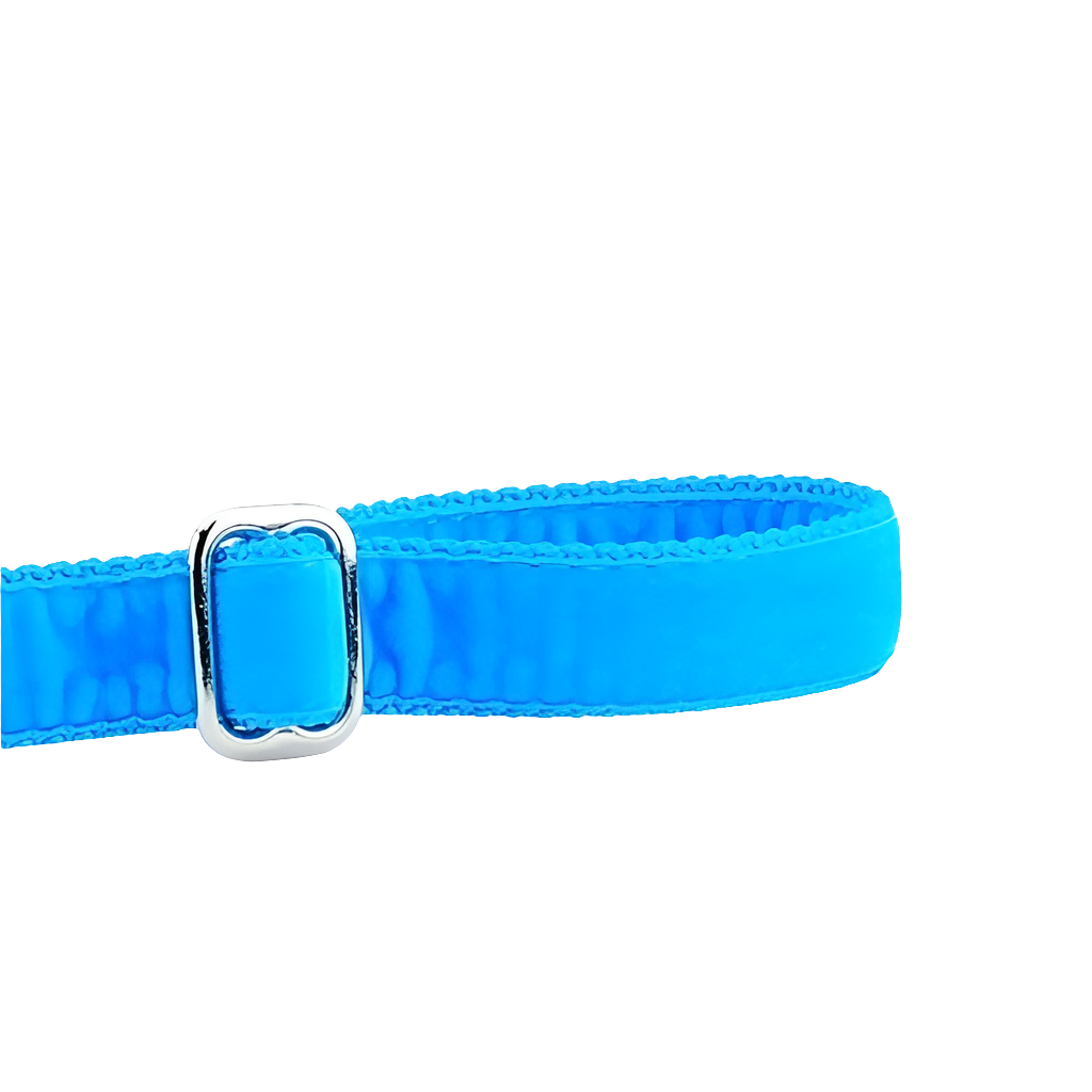 Turquoise Velvet Dog Leash – Soft, Stylish & USA Made