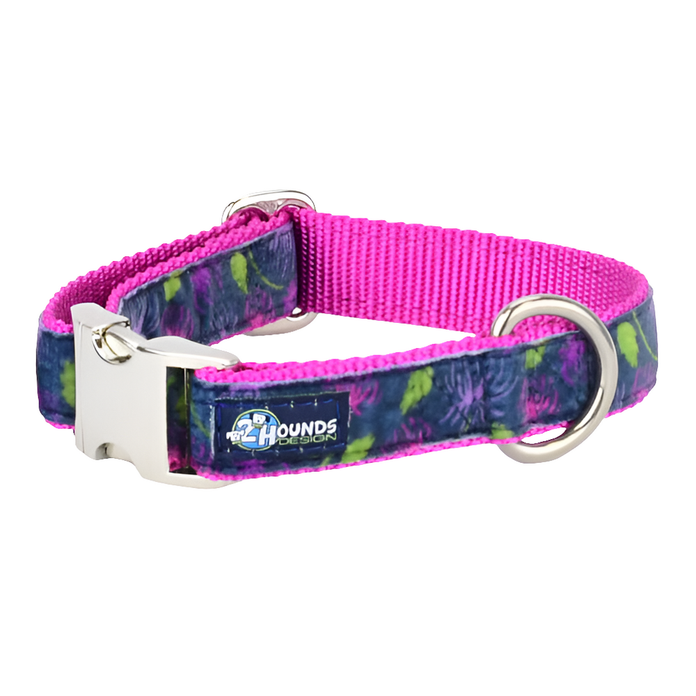 Midnight Dahlia Velvet Dog Collar – Essential Style by 2 Hounds Design