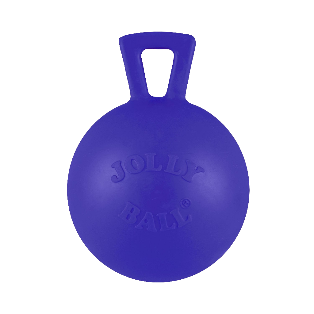 Jolly Pets Tug-n-Toss Mini – Small Bouncy Dog Ball with Handle | Lightweight & Floatable Toy for Small Breeds