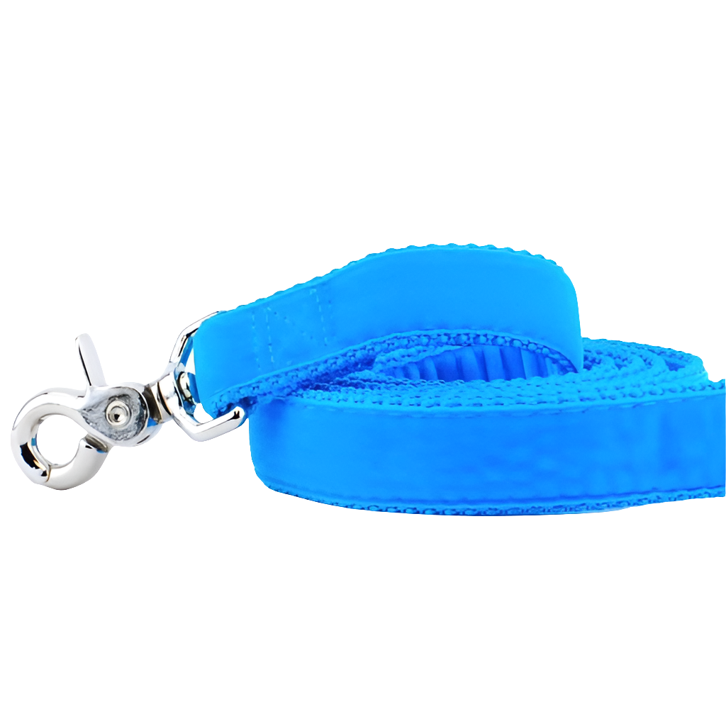Turquoise Velvet Dog Leash – Soft, Stylish & USA Made