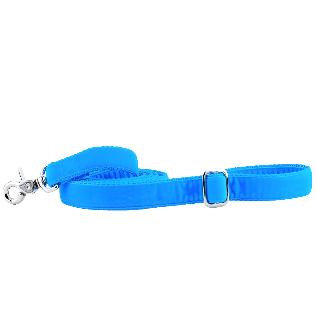 Turquoise Velvet Dog Leash – Soft, Stylish & USA Made