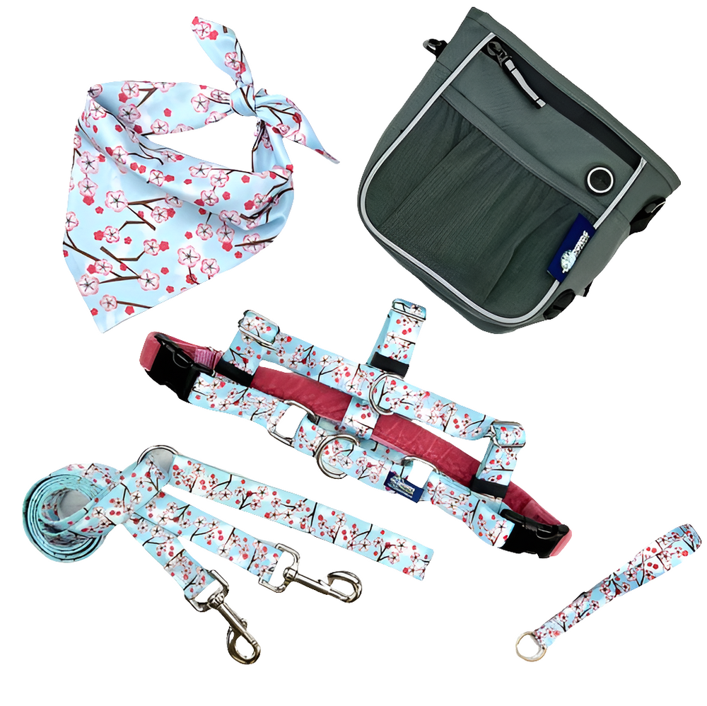 EarthStyle No-Pull Dog Harness Bundle – Eco-Friendly Walking Set by 2 Hounds Design