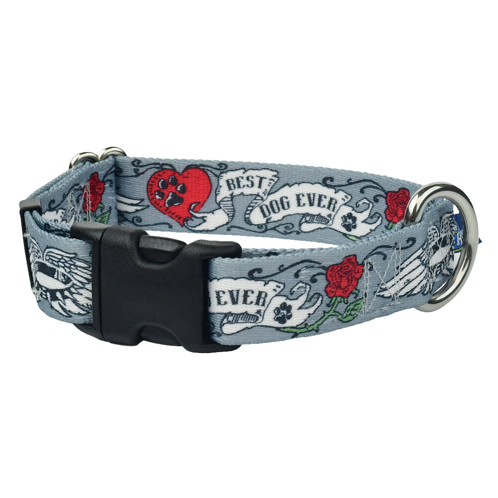 2 Hounds Design EarthStyle Buckle Martingale Collar – Best Dog Ever (1" Wide, Eco-Friendly)
