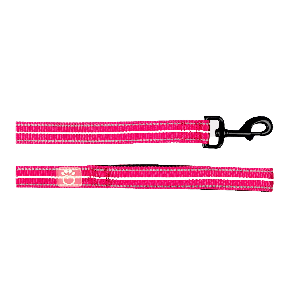 GF PET Reflective Dog Leash – High-Visibility, Durable Nylon Leash for Night Walks (6ft, Neon Pink)