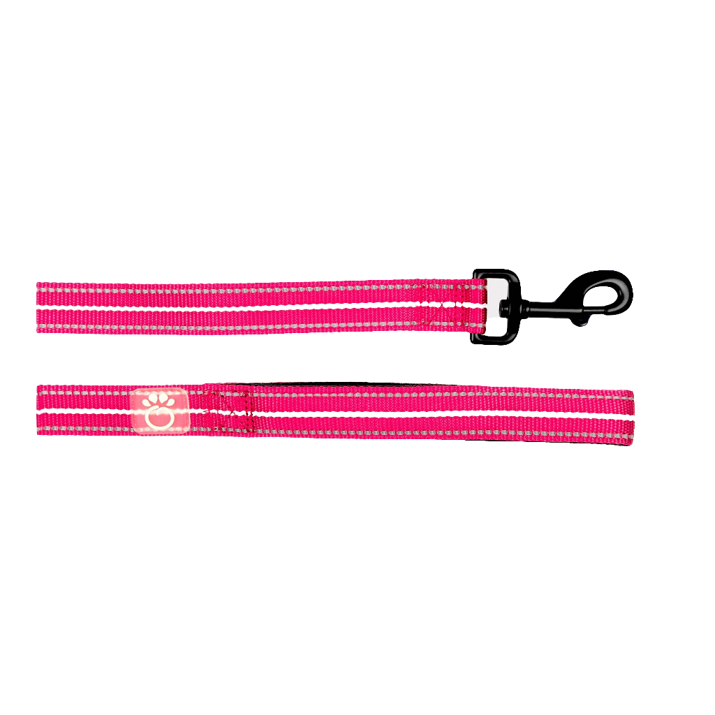 GF PET Reflective Dog Leash – High-Visibility, Durable Nylon Leash for Night Walks (6ft, Neon Pink)