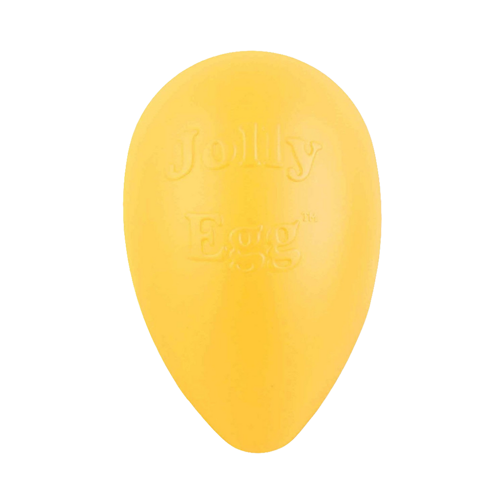 Jolly Egg™ Dog Toy – Unpredictable Bouncing Fun for Chasing & Water Play! 🥚🐕