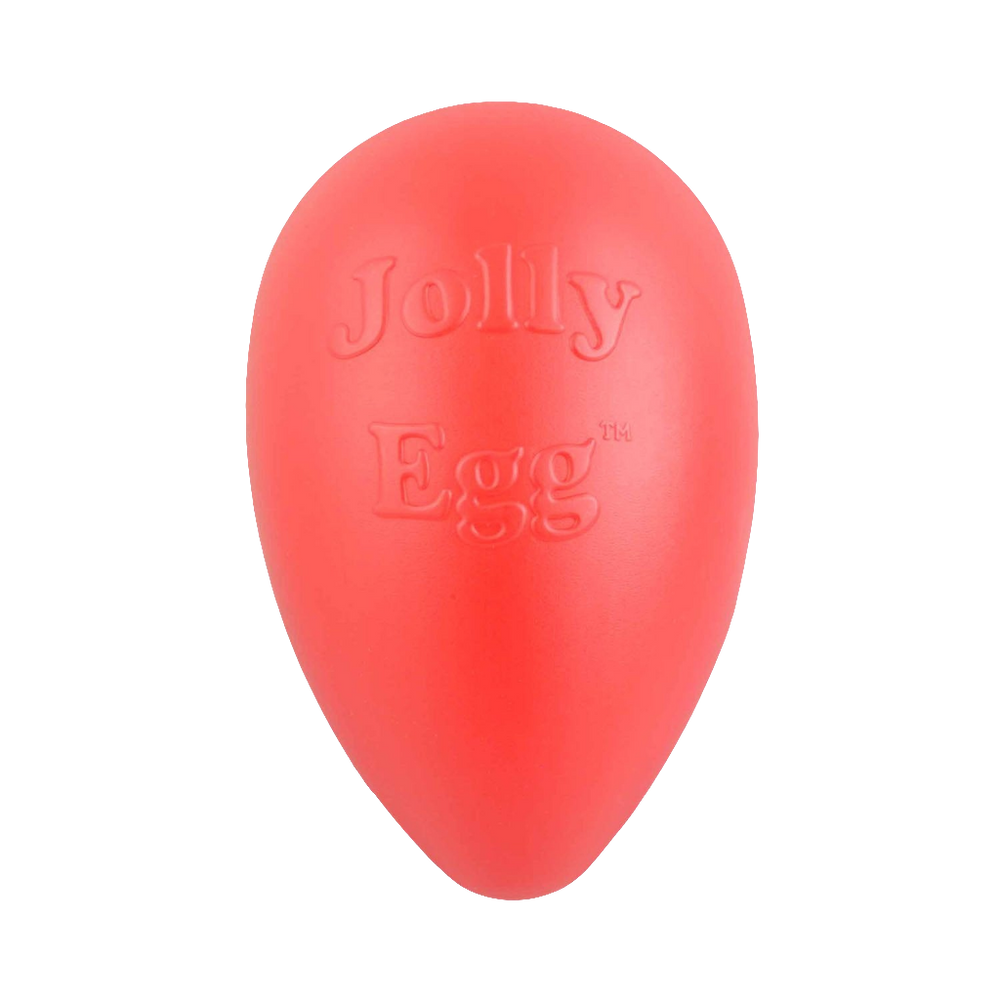 Jolly Egg™ Dog Toy – Unpredictable Bouncing Fun for Chasing & Water Play! 🥚🐕