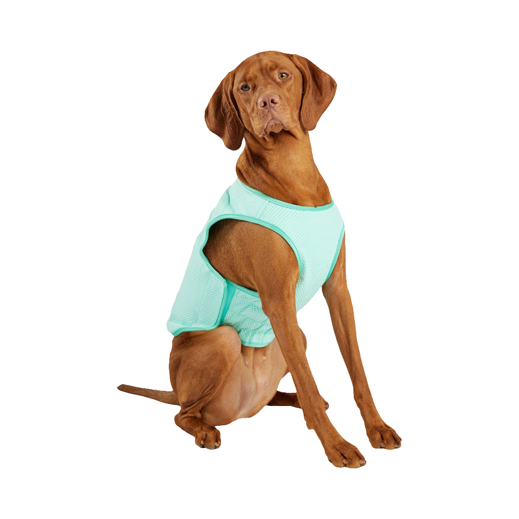 GF PET® Elasto-Fit® ICE-VEST® Aqua– Dog Cooling Vest with COOLFRESH™ Tech