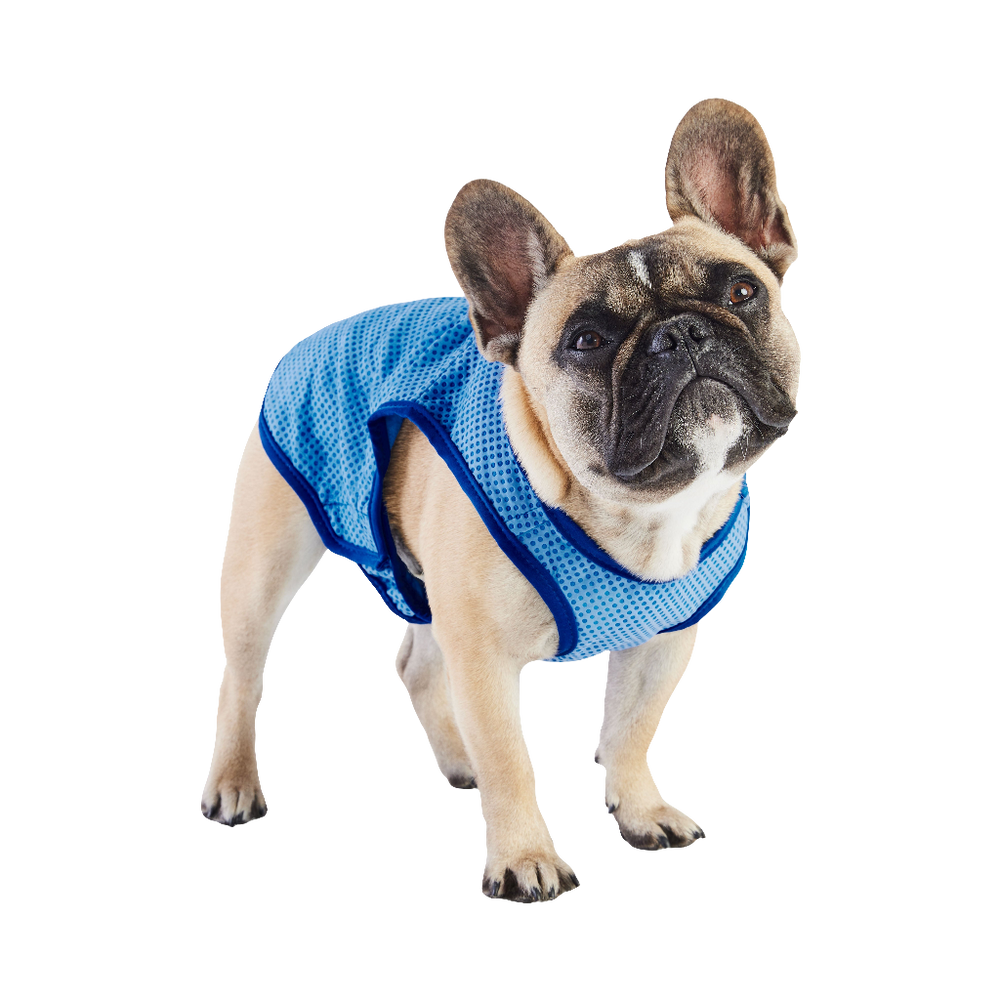 GF PET® Elasto-Fit® ICE-VEST® – Cooling Dog Vest in Blue, Lightweight & Adjustable Fit