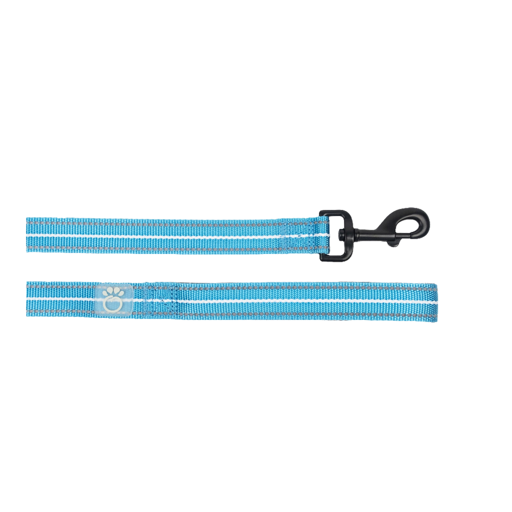 GF PET® Reflective Dog Leash – Neon Blue, 6ft Durable Nylon, High-Visibility Night Safety