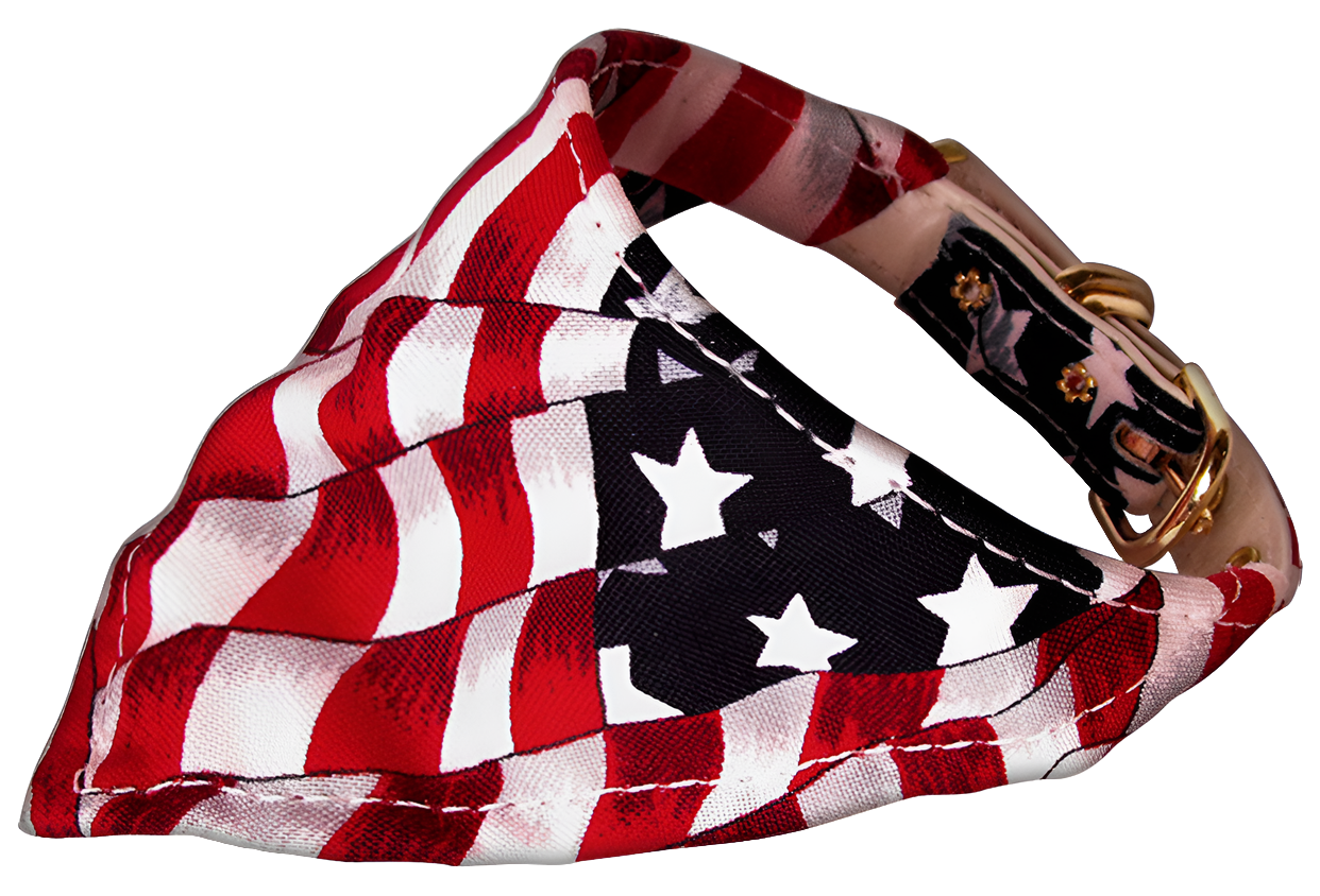 "America The Beautiful" Patriotic Pet Bandana Collar for Dogs