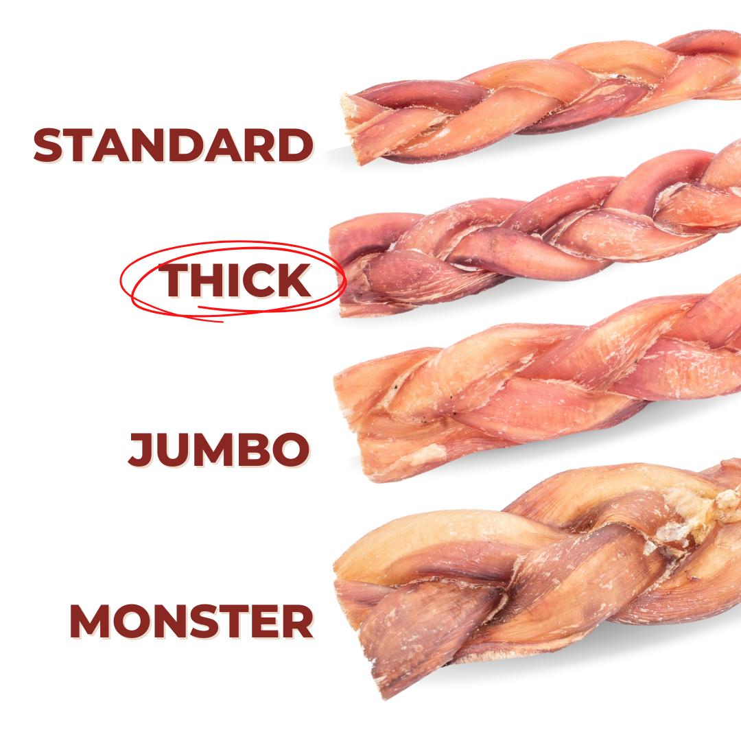 Bully Bunches 6-Inch Braided Thick Bully Sticks – Long-Lasting Natural Dog Chews
