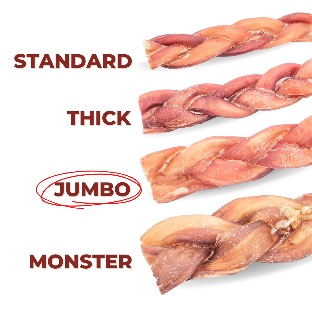 Bully Bunches 12” Jumbo Braided Bully Sticks | All-Natural, 100% Beef, Rawhide-Free Long-Lasting Chews for Large Dogs
