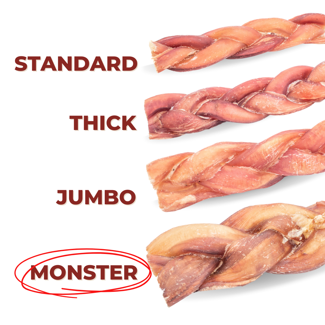 12-Inch Monster Braided Bully Stick – Jumbo, Long-Lasting Chew for Power Chewers