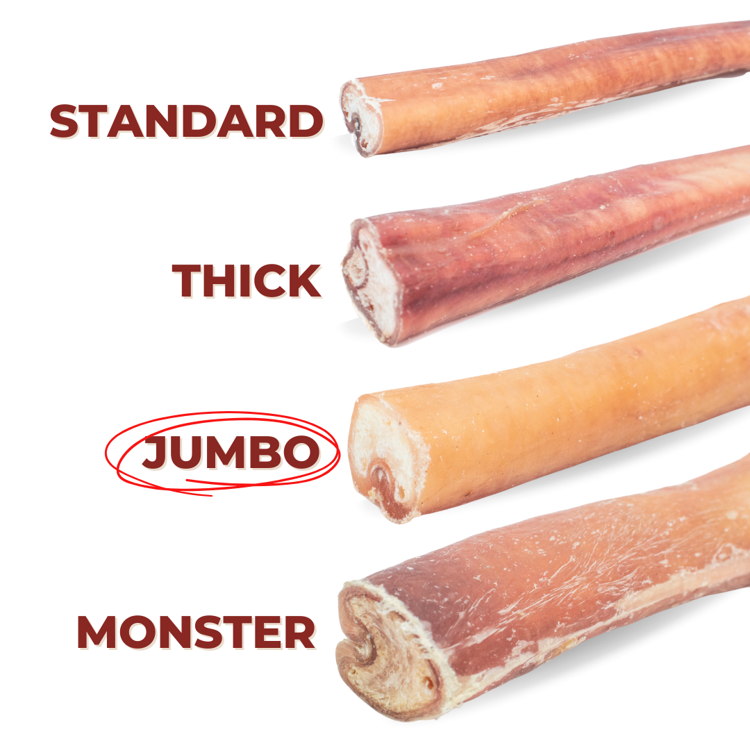 Extra Large 12" Bully Sticks for Dogs – All-Natural, Long-Lasting Chews