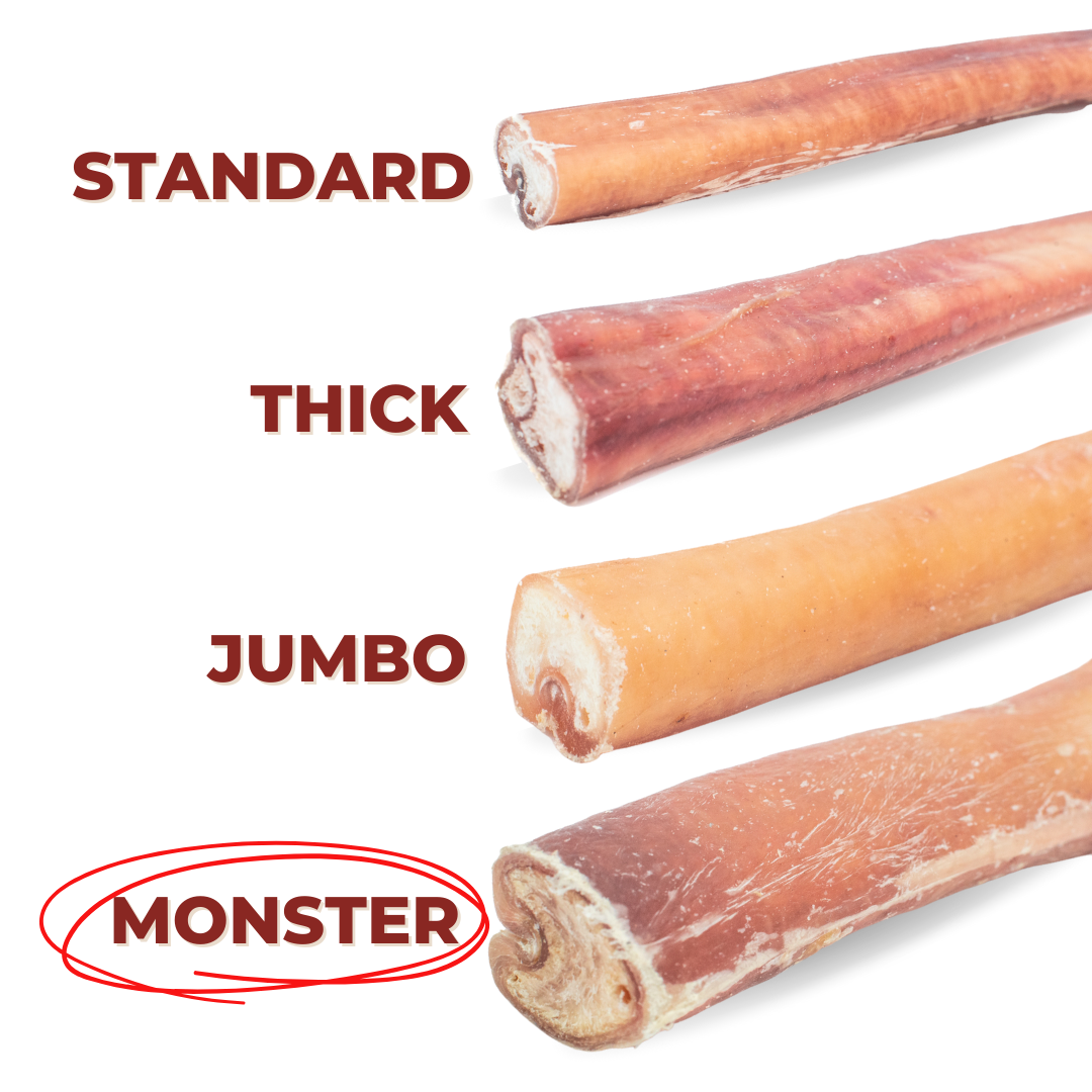 6-Inch Monster Bully Sticks – Extra Thick Natural Dog Chews for Power Chewers