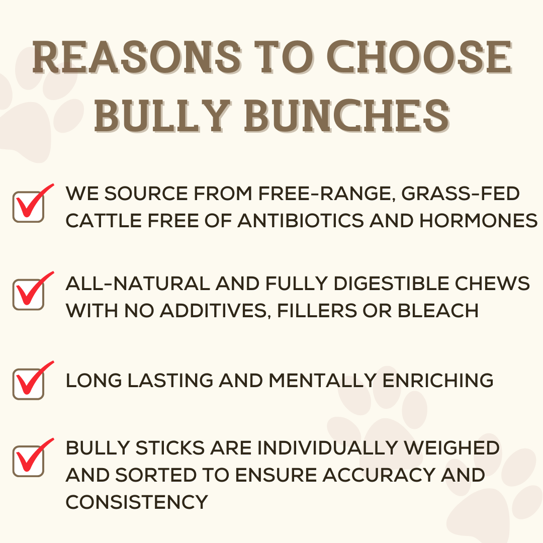 6-Inch Standard Bully Sticks – Natural Beef Dog Chews for Small & Medium Dogs