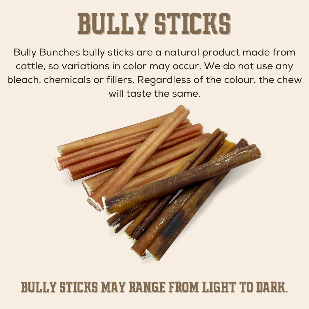 Bully Stick Ends – Premium Bargain Bag for Dogs