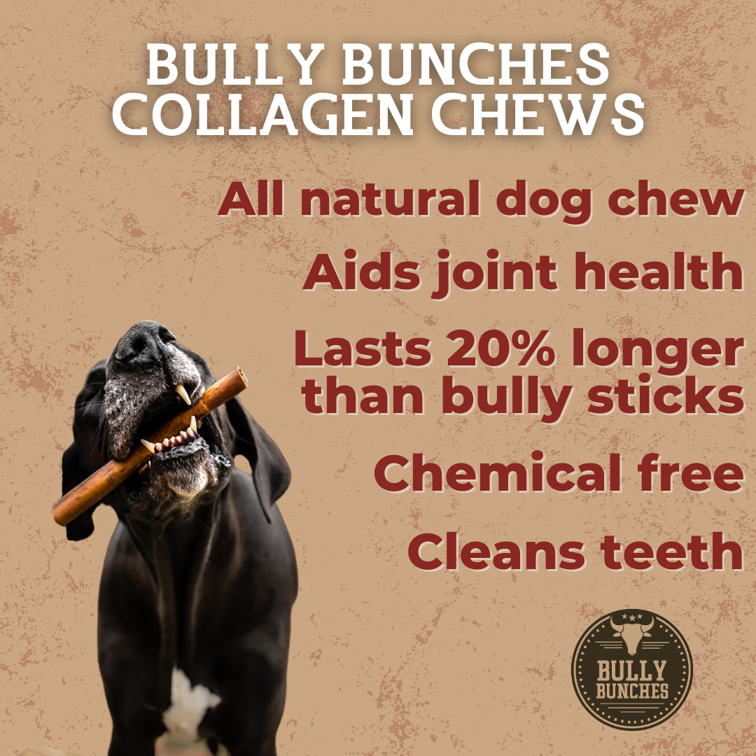 5–6 Inch Beef Collagen Sticks for Dogs – Rawhide-Free, Single-Ingredient, Long-Lasting Natural Chews