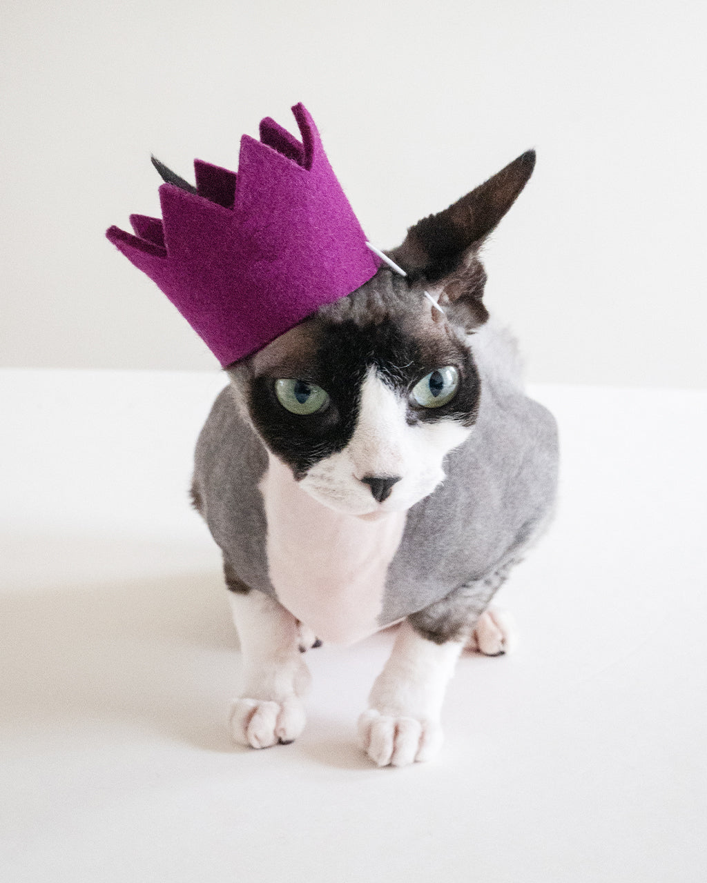 Colorful Wool Party Crowns for Pets – Adjustable & Photo-Ready