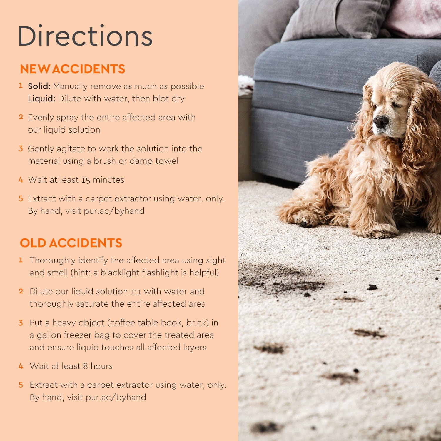 Puracy Pet Stain & Odor Remover – Enzyme Cleaner for Urine, Vomit & More