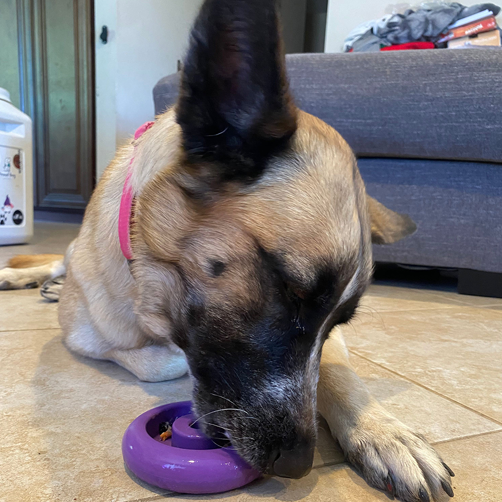 Freez Doughnut – Durable Freezable Fillable Dog Chew for Strong Chewers