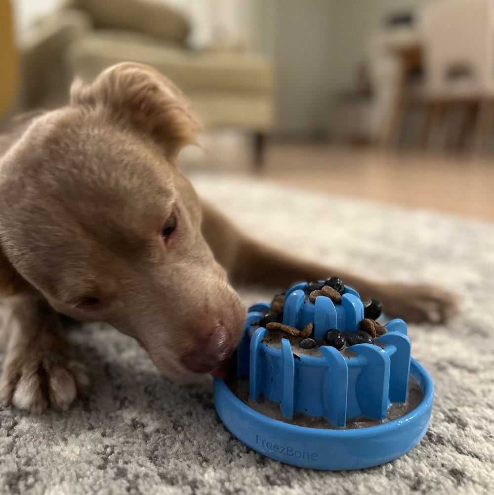 FreezLava Heavy-Duty Enrichment Chew Toy for Dogs