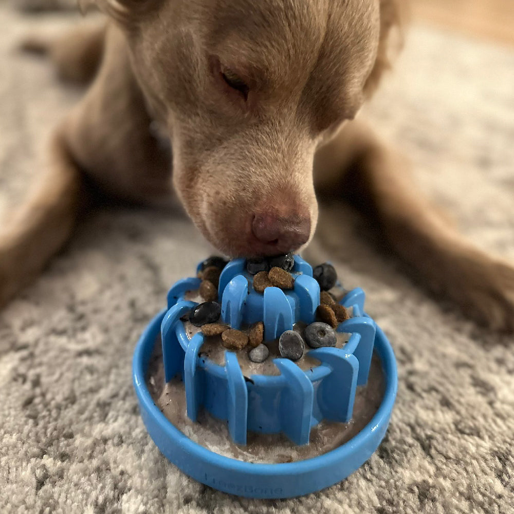 FreezLava Heavy-Duty Enrichment Chew Toy for Dogs