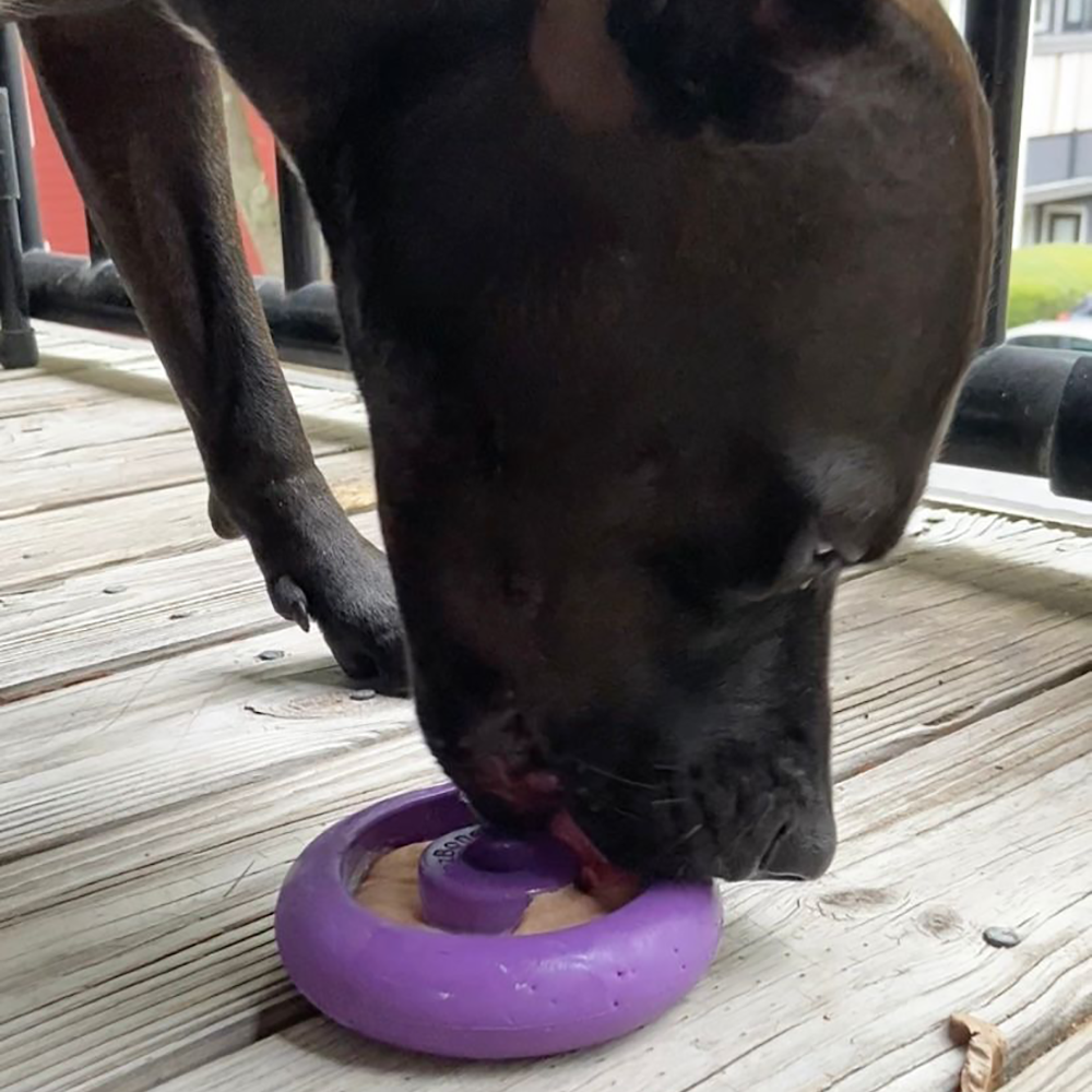 Freez Doughnut – Durable Freezable Fillable Dog Chew for Strong Chewers