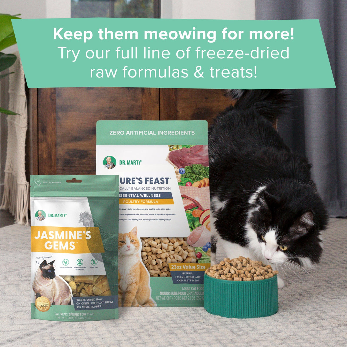 Dr. Marty Nature's Feast Essential Wellness Poultry Freeze Dried Raw Cat Food