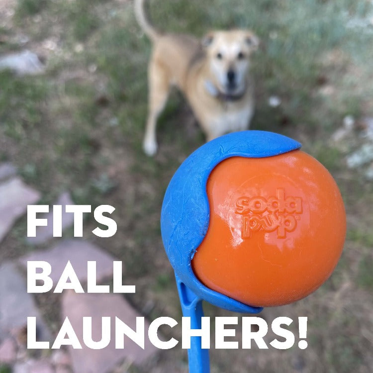 SodaPup Squeak Ball Dog Toy – Durable Floating Squeaky Fetch & Chew Toy (USA Made)