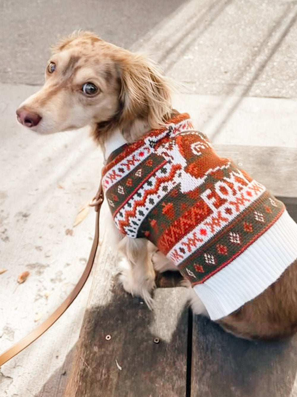 Foxy Cozy Autumn Knit Dog Sweater | Mess-Free Crewneck Pullover