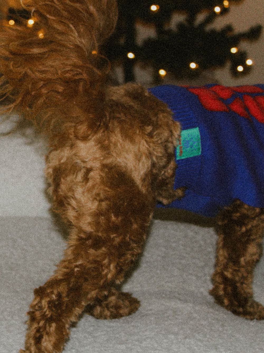 Tis Slay Szn Holiday Chunky Knit Dog Sweater | Festive Short Sleeve Pullover