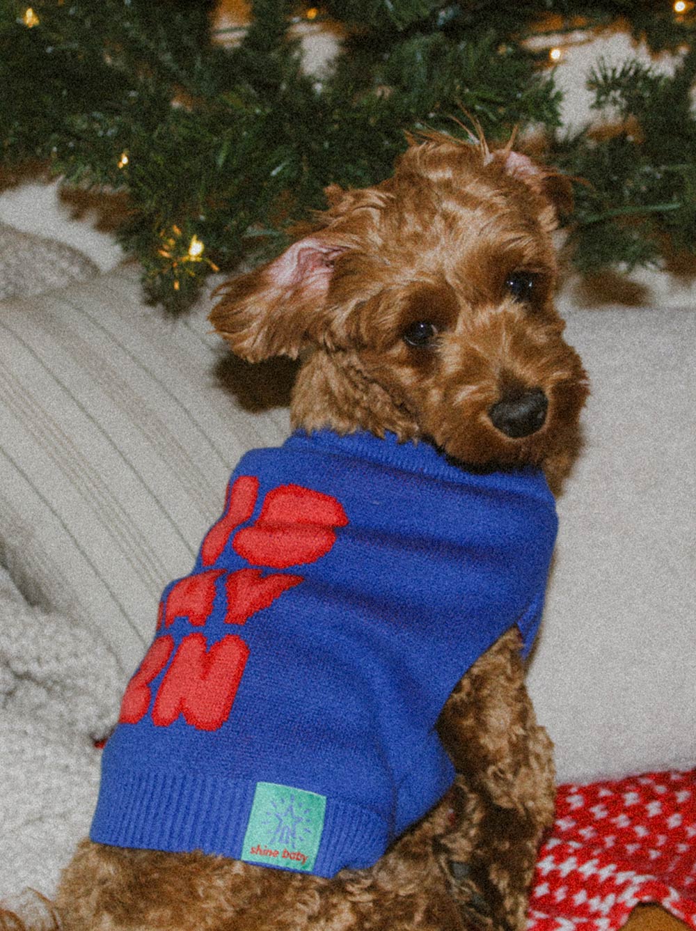 Tis Slay Szn Holiday Chunky Knit Dog Sweater | Festive Short Sleeve Pullover