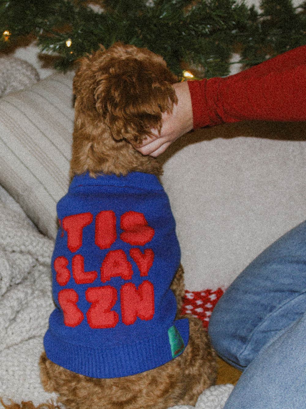 Tis Slay Szn Holiday Chunky Knit Dog Sweater | Festive Short Sleeve Pullover