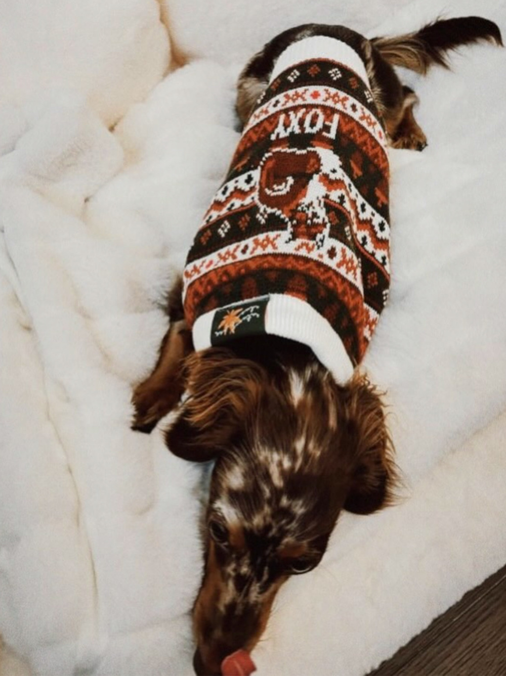 Foxy Cozy Autumn Knit Dog Sweater | Mess-Free Crewneck Pullover