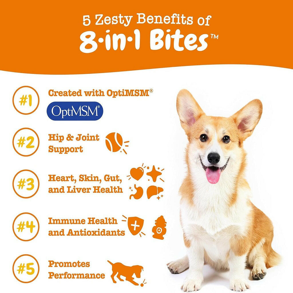 Zesty Paws 8-in-1 Dog Multivitamin – Peanut Butter Flavored Soft Chews for Hip, Joint, Skin, Heart & Immune Health (90 ct)
