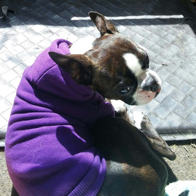 High-Quality Soft Solid-Color Hoodies for Pets - Durable and Comfortable