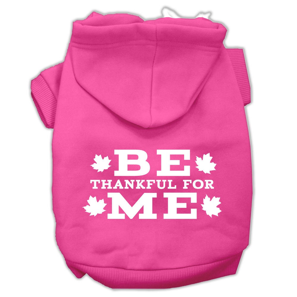 “Be Thankful for Me” Thanksgiving Dog & Cat Hoodie – Screen-Printed Pet Apparel