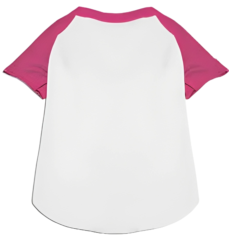 Wiggies' Customizable Pet Raglan Baseball Team Spirit Shirt with "Names & Numbers"