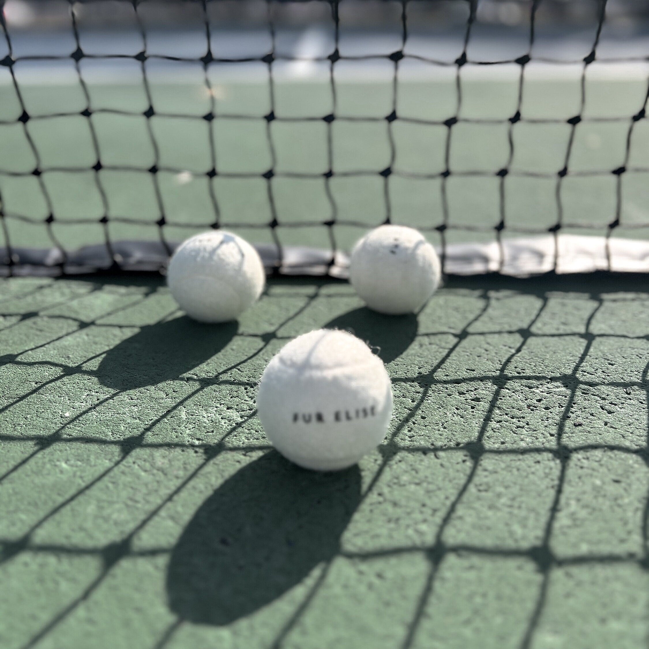 Classic Tennis Ball – Bone Edition | Pet-Safe, Durable Fetch Toy for Dogs