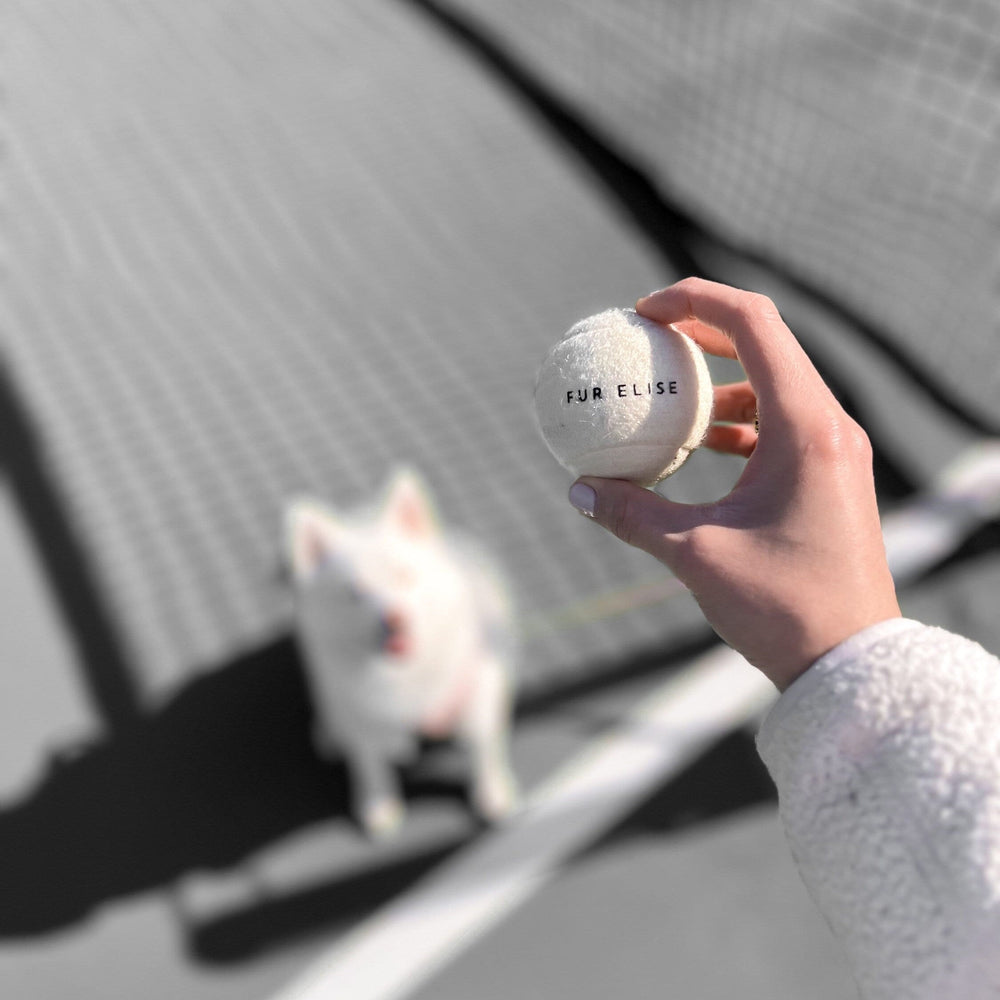Classic Tennis Ball – Bone Edition | Pet-Safe, Durable Fetch Toy for Dogs