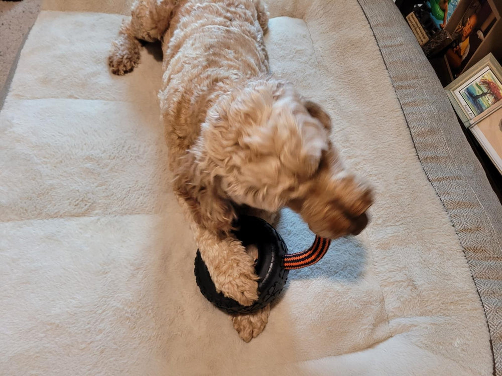Durable Rope and Tire Dog Toy - Mammoth Pet Tire Biter II for Tough Play