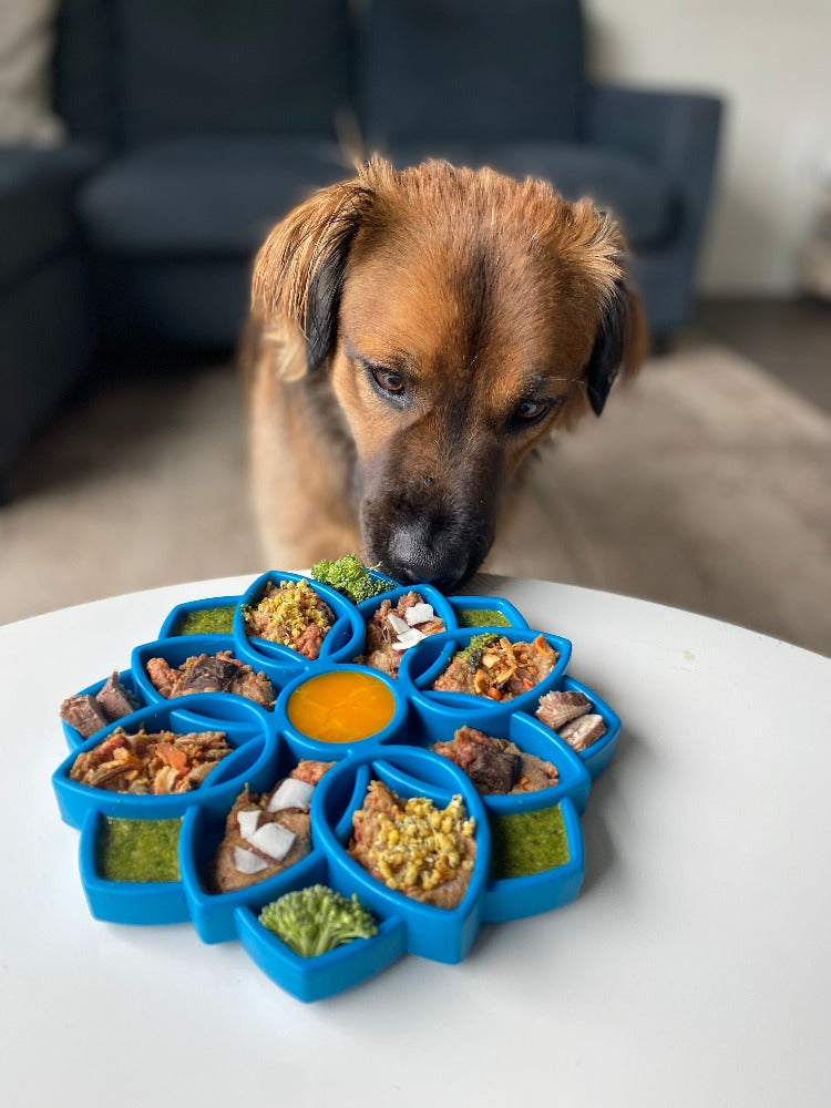 SodaPup Mandala Slow Feeder for Dogs – Enrichment Lick Mat & Puzzle Feeding Tray