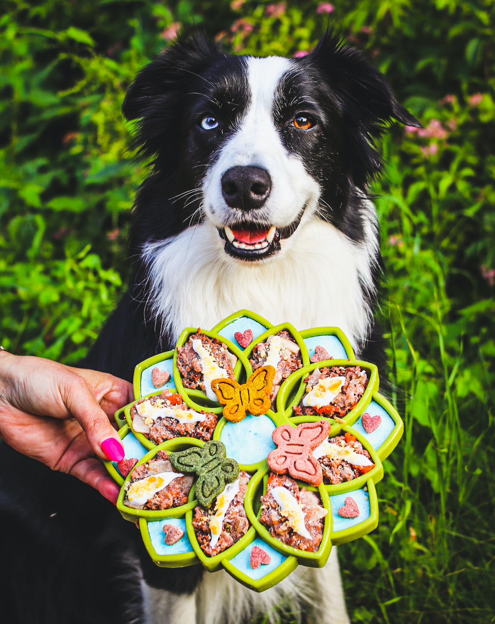 SodaPup Mandala Slow Feeder for Dogs – Enrichment Lick Mat & Puzzle Feeding Tray