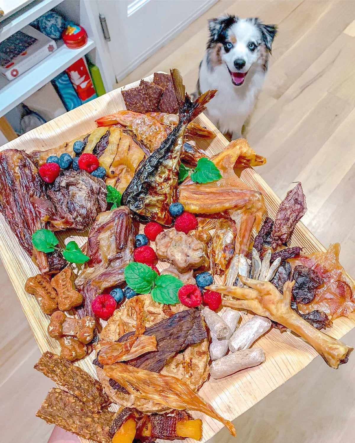 Whole Quail Treats for Dogs & Cats – Single Ingredient, Bone-In
