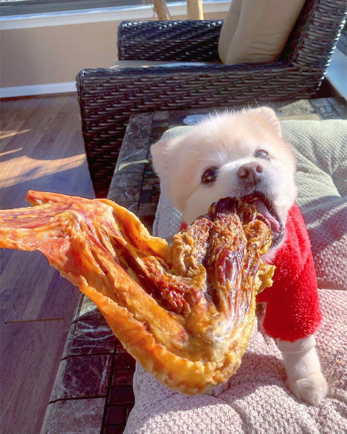Turkey Wing Natural Dog Chew – Single Ingredient